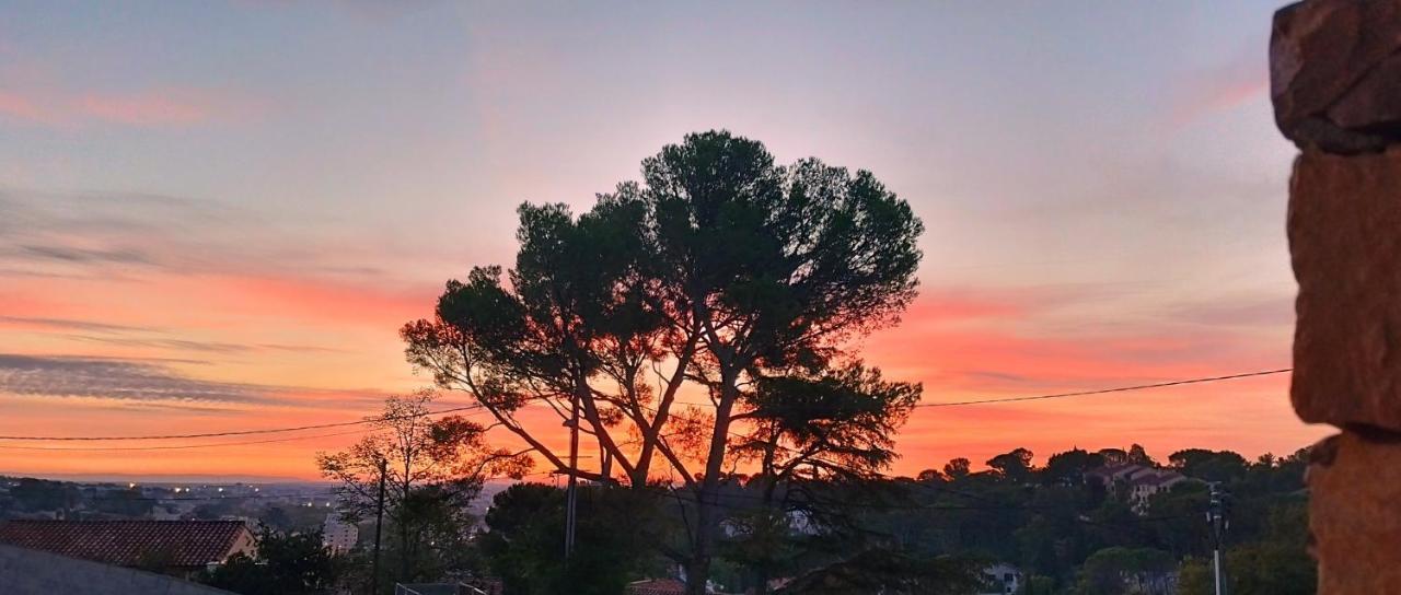 Les Jasmins Nîmes Exterior foto